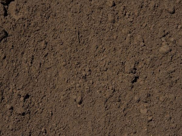 Screened Topsoil